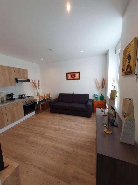 Appart'Hotel, Ikimo 5 Appartements Entiers A Votre Disposition Au Choix Nancy Exteriör bild