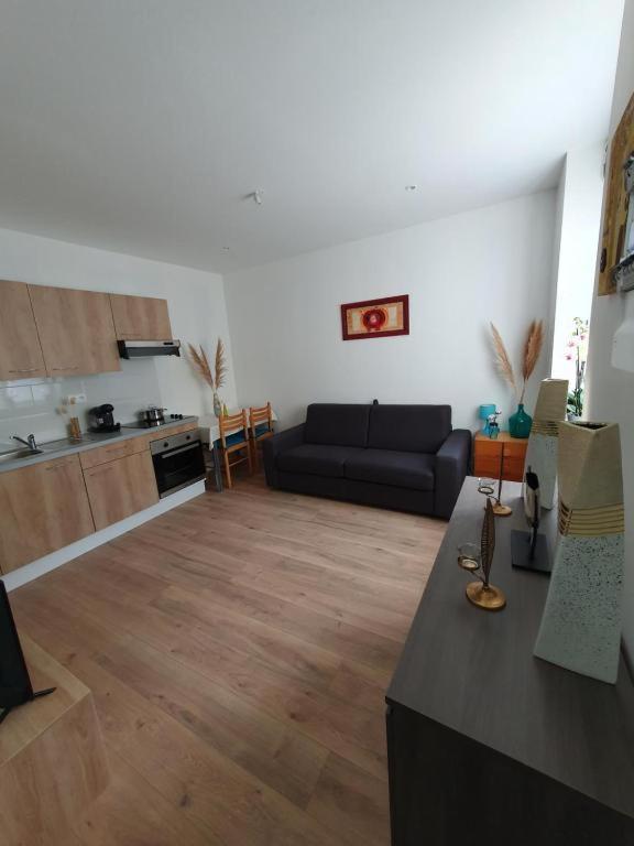 Appart'Hotel, Ikimo 5 Appartements Entiers A Votre Disposition Au Choix Nancy Exteriör bild